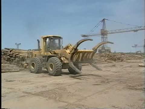 Видео: Лесные дали. Передача вторая (архив ГТРК Комсомольск, 2002 год)