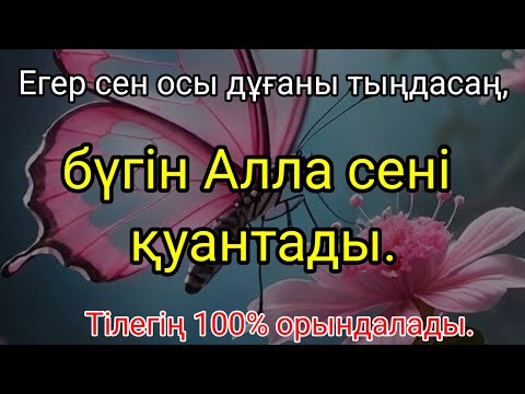 Видео: Бүгін Алла сені қуантады, дұғаң қабыл болып, нәтижесін көресің.