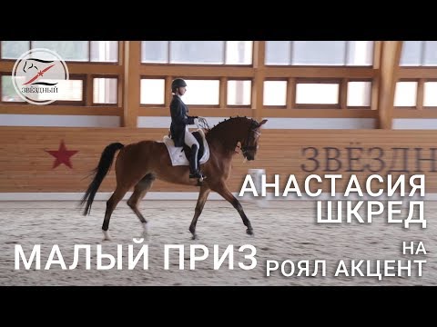 Видео: Анастасия Шкред на Роял Акцент. Выездка. Малый приз - 67.157% 1 место