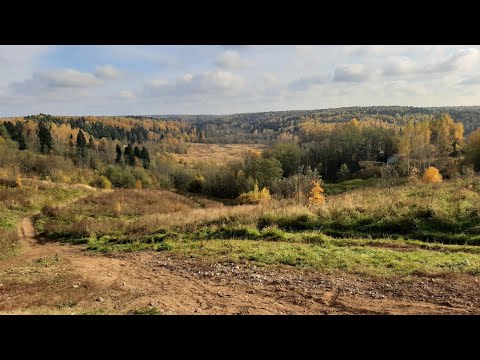 Видео: Золотая осень в долине р Яхрома 9 10 2025
