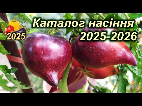 Видео: Нові колекційні сорти томатів (Новий каталог насіння 2025)