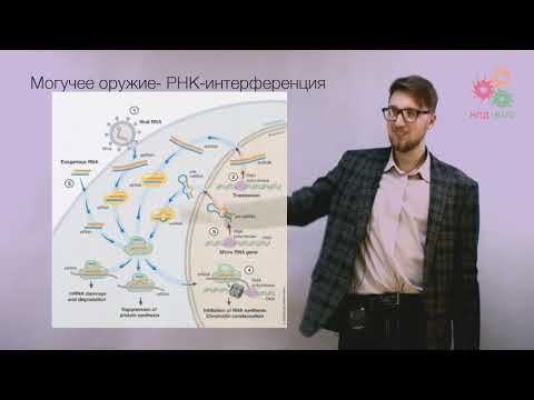 Видео: Перестройки генома. Транспозоны и гонка вооружений