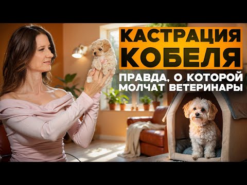Видео: Кастрация кобеля: когда делать, плюсы и минусы, мифы и правда