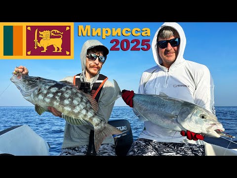 Видео: Морская рыбалка на Шри-Ланке. Мирисса 2025.