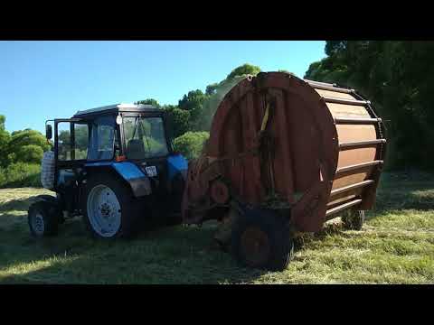 Видео: Сенокос полный цикл