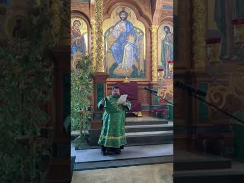 Видео: Великий прокимен "Кто Бог велий.." - протод. Александр Палий