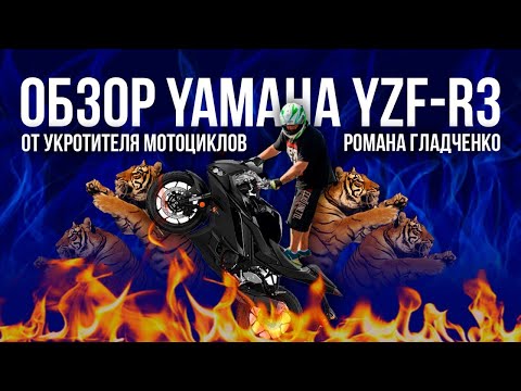 Видео: Что реально может Yamaha YZF-R3?