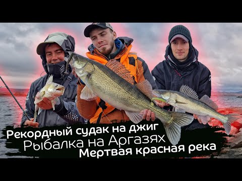 Видео: Рекордный судак на джиг /  Красная река и город-катастрофа / Рыбалка на Аргазинском водохранилище