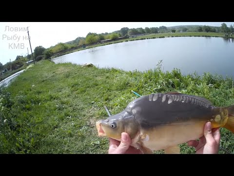 Видео: Рыбалка (КМВ) Нижнеподкумский 4 пруд. Отличный клёв 👍... но есть одно но🧐