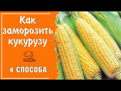 Видео: Как правильно заморозить кукурузу - 4 СПОСОБА - в початках и в зёрнах