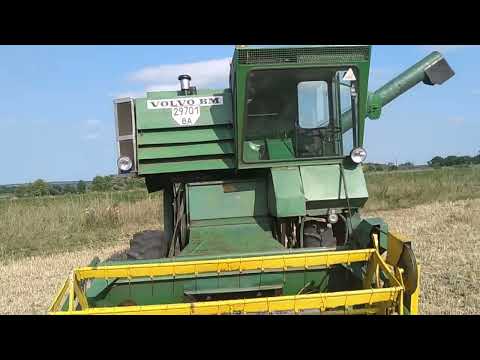 Видео: Жнива 2023 в розпалі комбайном volvo 800
