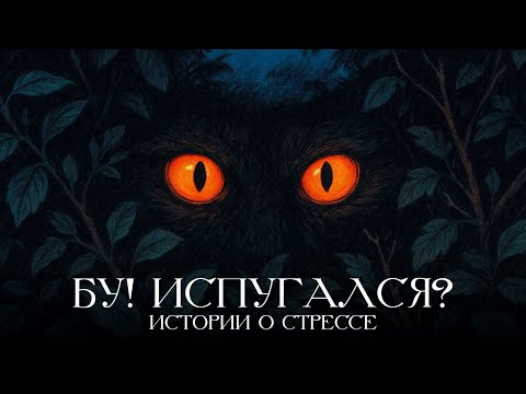 Видео: Всё дело в стрессе: что мы поняли неправильно