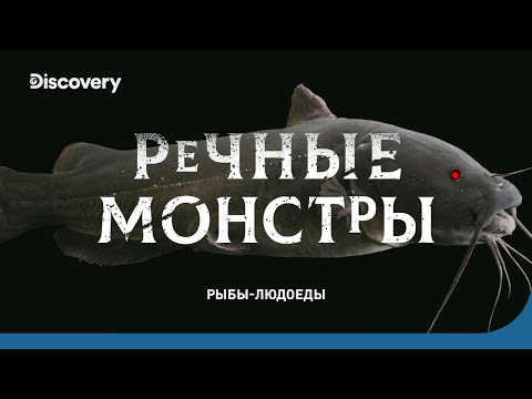 Видео: Рыбы-людоеды | Речные монстры | Discovery Channel
