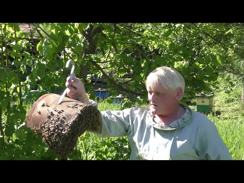 Видео: Пасека на связи 16