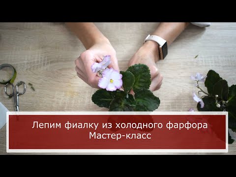 Видео: Мастер-класс " Фиалка из холодного фарфора"