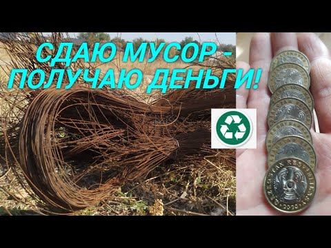 Видео: СДАЮ МУСОР - ПОЛУЧАЮ ДЕНЬГИ! ЦЕЛЬ 100 КГ МЕДИ! ДОБЫВАЮ МЕДЬ! ПОИСК МЕТАЛЛОЛОМА!