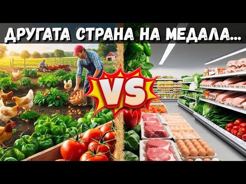 Видео: Домашно или от Магазина/ Диво или от Ферми?