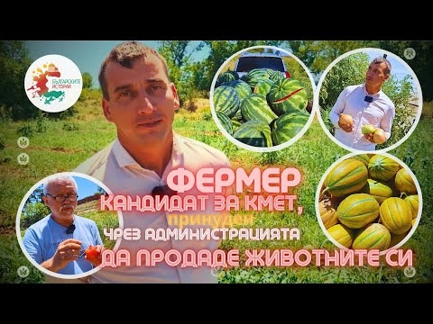 Видео: Защо битката на Ангел за кметското място в Любимец изяде животните му и го остави само със зеленчуци