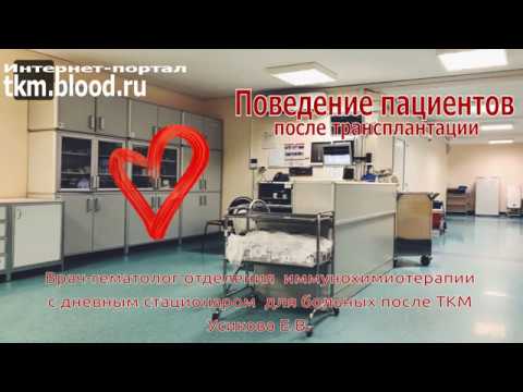 Видео: Школа №2. Поведение после трансплантации костного мозга и стволовых клеток