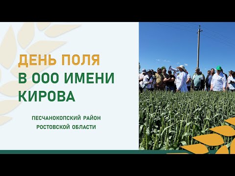 Видео: Пары – залог хороших семян и высоких урожаев | День поля в ООО имени Кирова