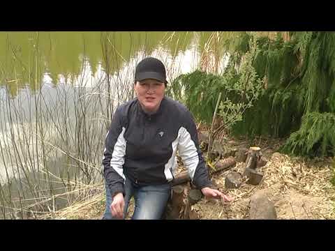 Видео: О пользе сидератов Часть 2