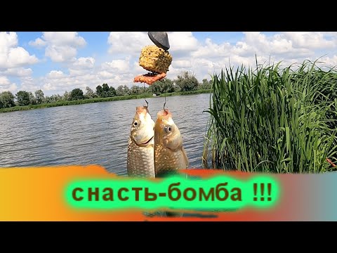 Видео: Если сделаешь ЭТУ СНАСТЬ , то всегда будешь с рыбой /Рыбалка- это жизнь