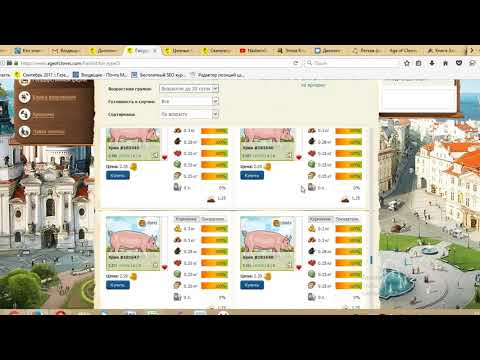 Видео: Stebel об Эпохе клонов (ageofclones). Свиноводство: стратегии, расчеты, калькулятор