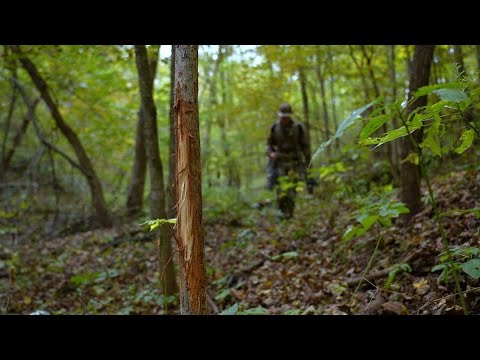Видео: Как найти места лежбищ оленей на карте | Белохвостый олень Среднего Запада
