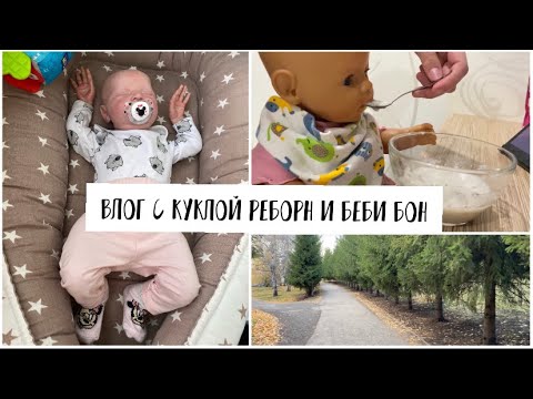 Видео: ВЛОГ с реборном Авророй и беби боном Мией