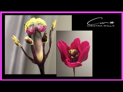 Видео: Тюльпан: Холодный Фарфор или Сахар, МК: Как Сделать Середину Пестик и Тычинки  из Полимерной Глины