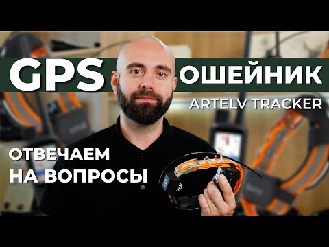 Видео: Самые популярные вопросы о GPS Ошейнике Artelv Tracker! Отвечаем!