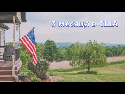 Видео: 3 месяца в США: советы по документам, банкам и машине