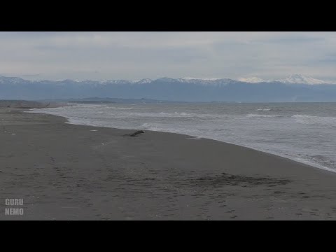 Видео: Поти (ფოთი). ( часть 4 )