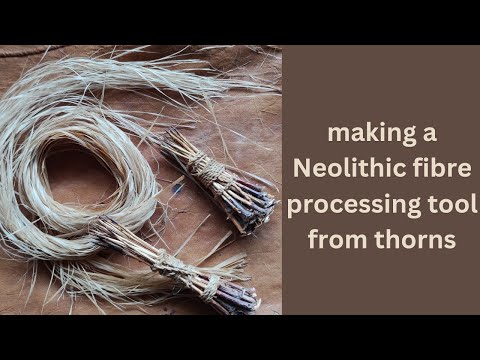 Видео: Изготовление неолитического текстильного инструмента из шипов!