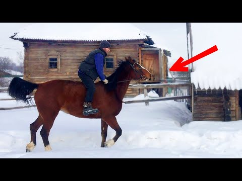 Видео: ПОСАДИЛА МУЖА БЕЗ СЕДЛА И НАЧАЛОСЬ. ОТ ЗАБОРА НИ ЧЕГО НЕ ОСТАЛОСЬ.  ЖИЗНЬ ПРОСТЫХ ЛЮДЕЙ В ДЕРЕВНЕ