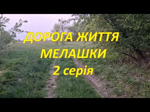Видео: Дорога життя Мелашки. 2 серія. Дмитрівка - Левівщина
