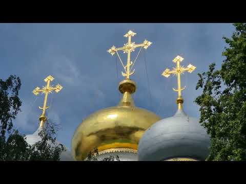 Видео: Москва Новодевичий монастырь