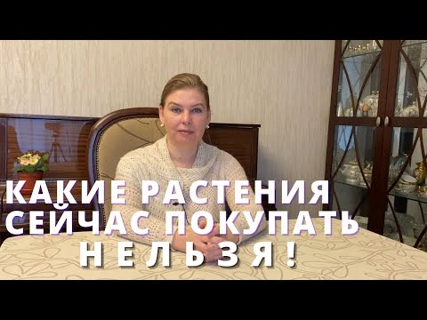 Видео: Какие растения нельзя покупать в конце зимы - начале весны