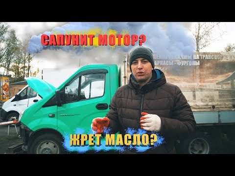Видео: Почему САПУНИТ и ЖРЕТ масло дизельный двигатель Газель Некст. Картерные газы. Раскоксовка