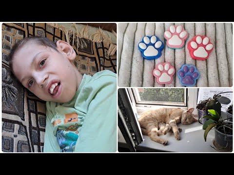 Видео: Наші будні 2 серпня