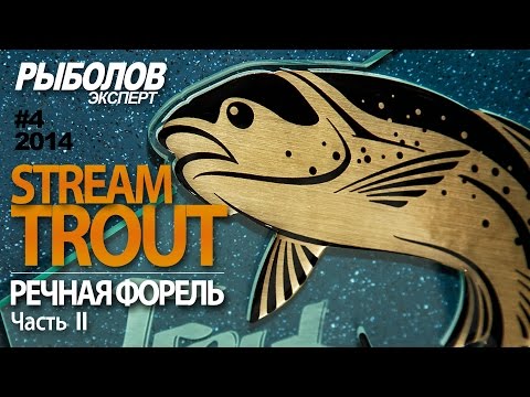 Видео: Stream Trout - речная форель. Часть 2