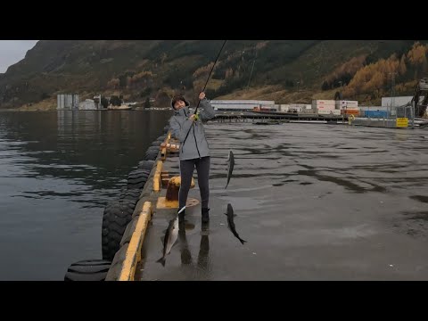 Видео: Рыбалка на одно удилище. Наташа сделала рыбалку.