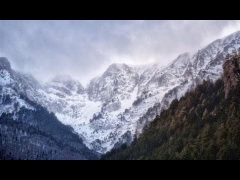 Видео: Предназначенный Глава 2