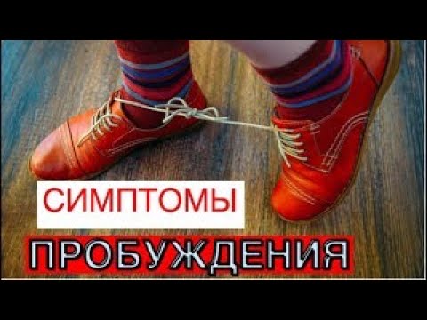 Видео: "Принцип Непрерывной Потоковости". Ретрит на Иссык-Куле. Завершающая лекция.