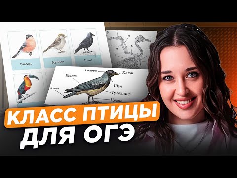 Видео: Класс птицы / Внешнее и внутреннее строение птиц для ОГЭ по биологии / Зоология