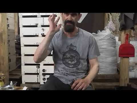 Видео: ДЕНДРОБЕНА! Подура, я победил её!!!