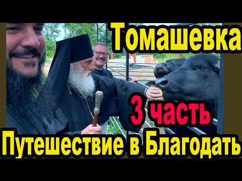 Видео: Интервью с Архиепископом Фастовским Дамианом