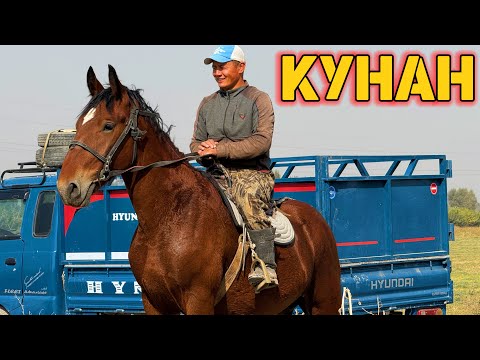 Видео: КУНАН ДОКУМЕНТТИ МЕНЕН ЧЫКТЫ 💪🏻 #байтв 