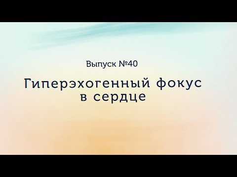 Видео: Гиперэхогенный фокус в сердце