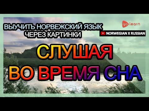 Видео: Выучить норвежский язык через картинки |норвежский язык словарь Слушая во время сна | Golearn